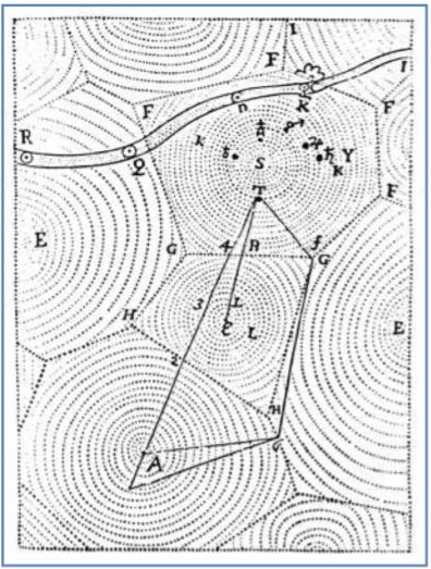 Drawing of cells crowded together