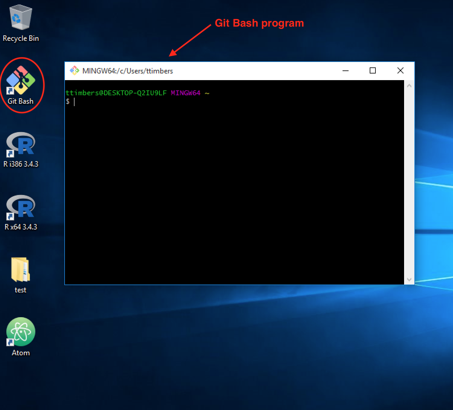 Git BASH icon on the Desktop and an open instance of Git BASH.