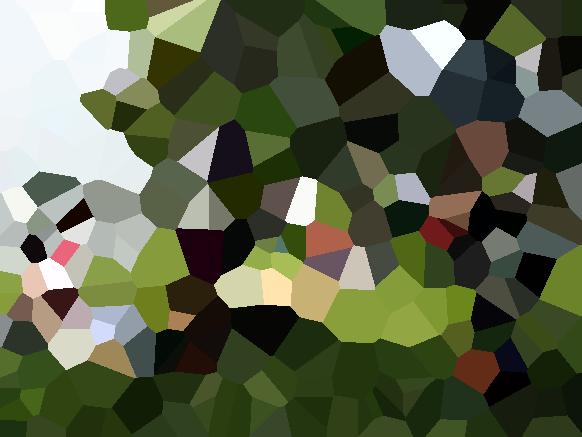 The Voronoi version of the photograph.