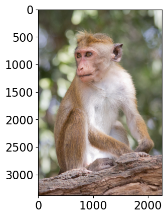 <Figure size 640x480 with 1 Axes>