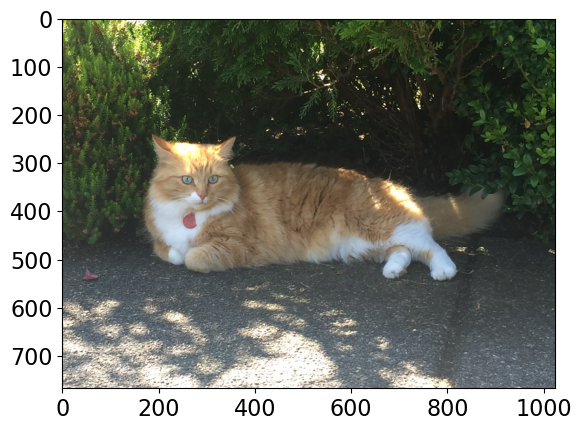 <Figure size 640x480 with 1 Axes>