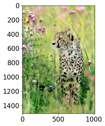 <Figure size 640x480 with 1 Axes>