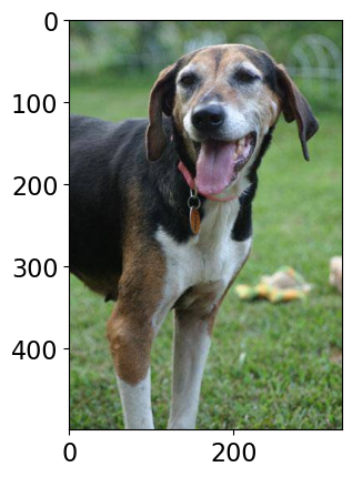 <Figure size 640x480 with 1 Axes>